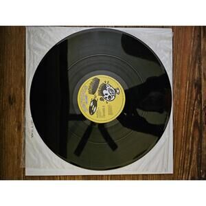 Willie Ninja - Hot - vintage DJ vinyl 12" single - Mint - see pics